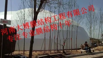 ɽɽĤṹ.webp.jpg